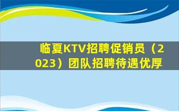 临夏KTV招聘促销员（2023）团队招聘待遇优厚